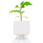 greentoy-04